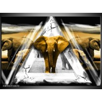 Foto canvas schilderij Olifant | Geel, Wit, Grijs 