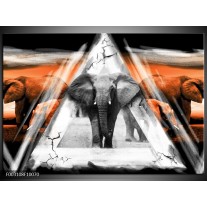 Foto canvas schilderij Olifant | Oranje, Wit, Grijs 