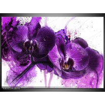 Foto canvas schilderij Orchidee | Paars, Wit, Zwart 