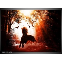 Glas schilderij Paard | Rood, Zwart, Wit 
