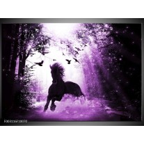 Foto canvas schilderij Paard | Paars, Zwart, Wit 