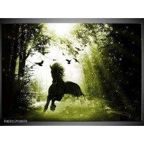 Foto canvas schilderij Paard | Groen, Zwart, Wit 