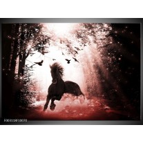 Foto canvas schilderij Paard | Rood, Zwart, Wit 