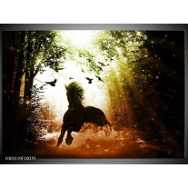 Foto canvas schilderij Paard | Groen, Zwart, Wit 