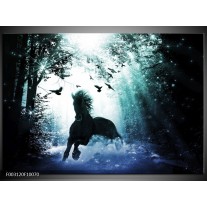 Foto canvas schilderij Paard | Blauw, Zwart, Wit 