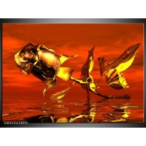 Foto canvas schilderij Roos | Rood, Goud, Geel 