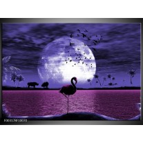 Foto canvas schilderij Natuur | Blauw, Paars, Wit 