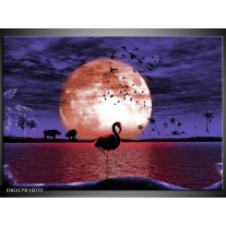 Foto canvas schilderij Natuur | Rood, Blauw, Wit 