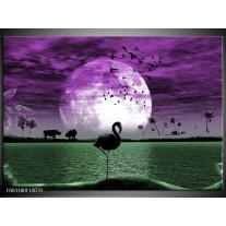 Foto canvas schilderij Natuur | Paars, Groen, Wit 