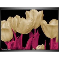 Glas schilderij Tulpen | Wit, Zwart, Roze 