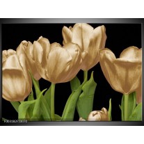 Foto canvas schilderij Tulpen | Goud, Groen, Zwart 