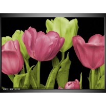 Foto canvas schilderij Tulpen | Roze, Groen, Zwart 