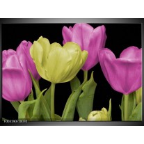 Glas schilderij Tulpen | Paars, Groen, Zwart 