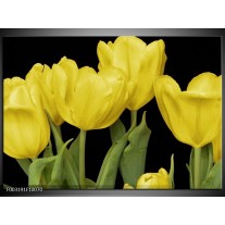 Glas schilderij Tulpen | Geel, Groen, Zwart 