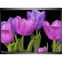 Glas schilderij Tulpen | Paars, Blauw, Groen 