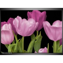 Foto canvas schilderij Tulpen | Paars, Groen, Zwart 
