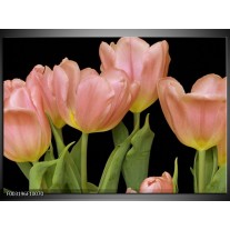 Foto canvas schilderij Tulpen | Roze, Groen, Zwart 