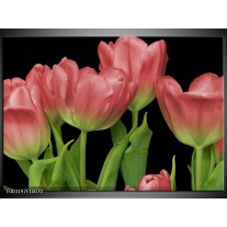 Foto canvas schilderij Tulpen | Rood, Groen, Zwart 