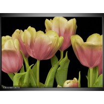 Foto canvas schilderij Tulpen | Roze, Zwart, Wit 