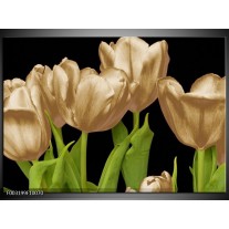 Glas schilderij Tulpen | Goud, Groen, Zwart 