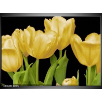 Foto canvas schilderij Tulpen | Geel, Groen, Zwart 