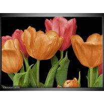 Foto canvas schilderij Tulpen | Oranje, Rood, Groen 