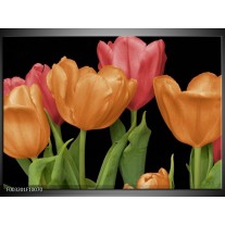 Glas schilderij Tulpen | Oranje, Rood, Groen 