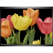 Foto canvas schilderij Tulpen | Geel, Oranje, Rood 