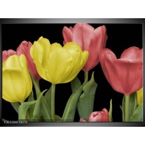 Foto canvas schilderij Tulpen | Geel, Rood, Zwart 