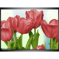 Glas schilderij Tulpen | Rood, Groen, Blauw 