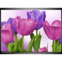 Glas schilderij Tulpen | Paars, Roze, Groen 