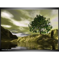 Foto canvas schilderij Natuur | Groen, Grijs, Wit 