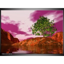 Foto canvas schilderij Natuur | Groen, Paars, Roze 