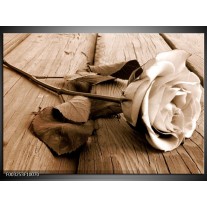 Foto canvas schilderij Roos | Bruin, Sepia, Wit 