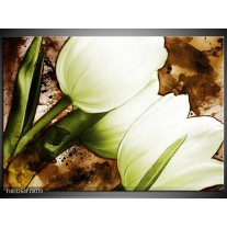 Foto canvas schilderij Tulpen | Groen, Wit, Bruin 