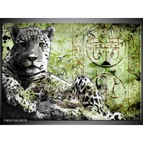 Foto canvas schilderij Dieren | Groen, Zwart, Wit 