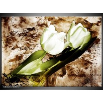 Glas schilderij Tulpen | Groen, Bruin, Wit 