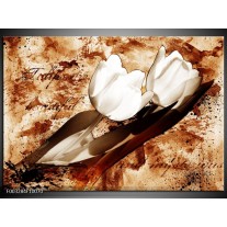 Glas schilderij Tulpen | Bruin, Wit 