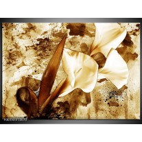 Foto canvas schilderij Bloem | Bruin, Wit 