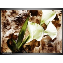 Glas schilderij Bloem | Bruin, Wit, Groen 