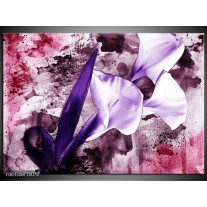 Foto canvas schilderij Bloem | Paars, Wit, Roze 