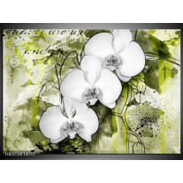 Foto canvas schilderij Orchidee | Wit, Groen 