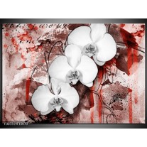 Foto canvas schilderij Orchidee | Wit, Rood 