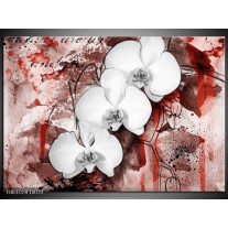 Glas schilderij Orchidee | Wit, Rood 