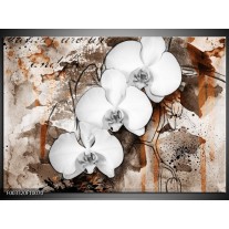 Foto canvas schilderij Orchidee | Wit, Bruin 