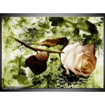 Foto canvas schilderij Roos | Groen, Bruin, Wit 