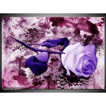 Foto canvas schilderij Roos | Paars, Wit, Roze 