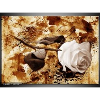 Foto canvas schilderij Roos | Bruin, Wit 