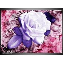 Foto canvas schilderij Roos | Paars, Wit, Roze 