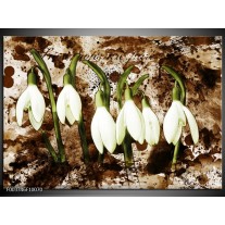 Foto canvas schilderij Bloem | Groen, Bruin, Wit 